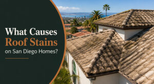 What Causes Roof Stains on San Diego Homes