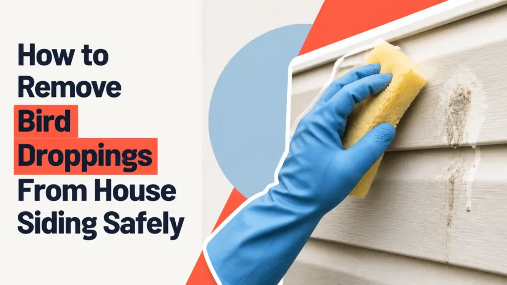 how to remove bird droppings from house siding
