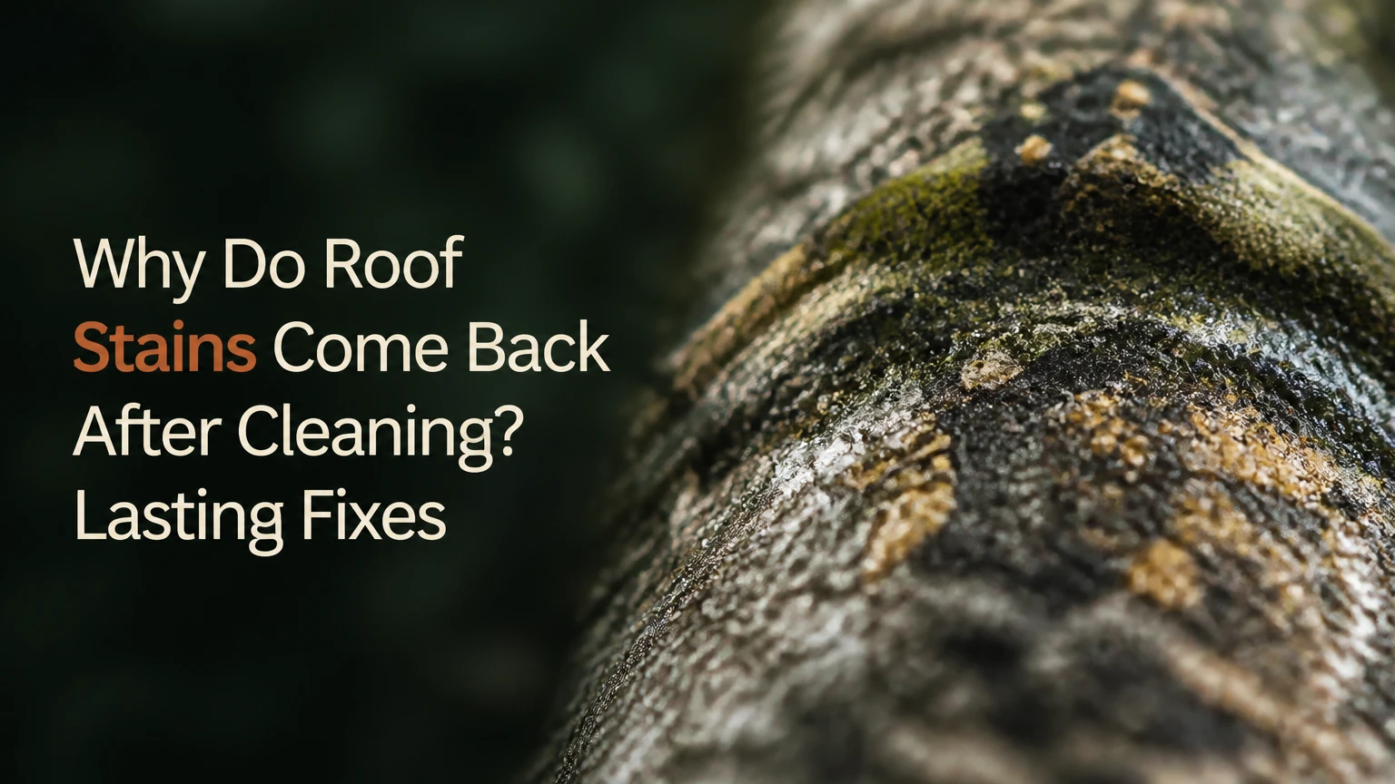 why do roof stains come back after cleaning