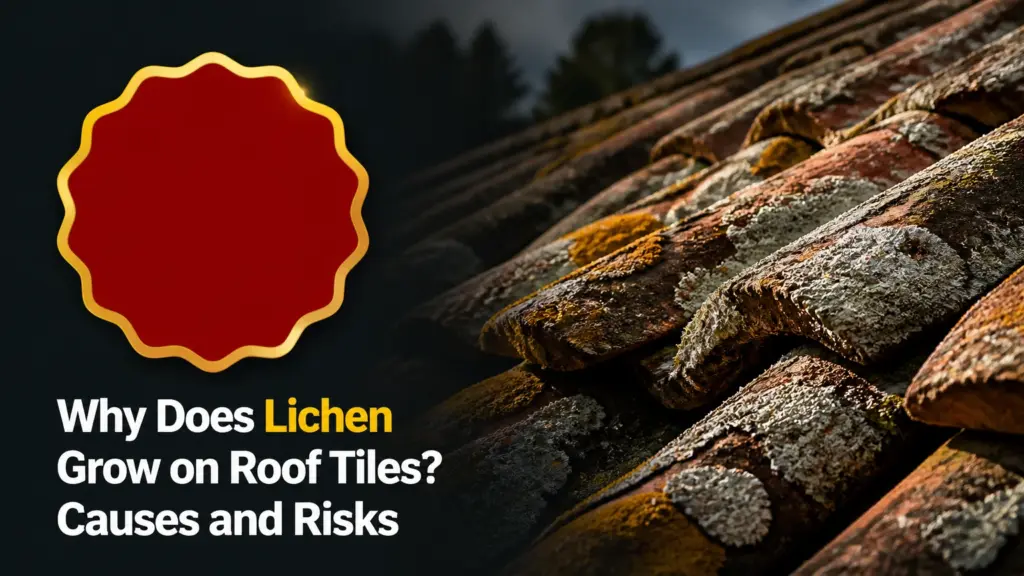 why does lichen grow on roof tiles