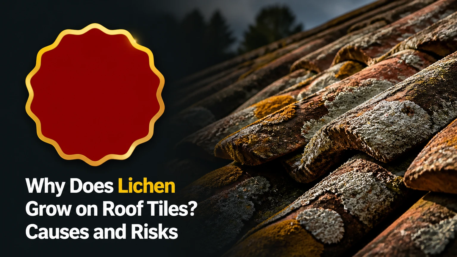 why does lichen grow on roof tiles