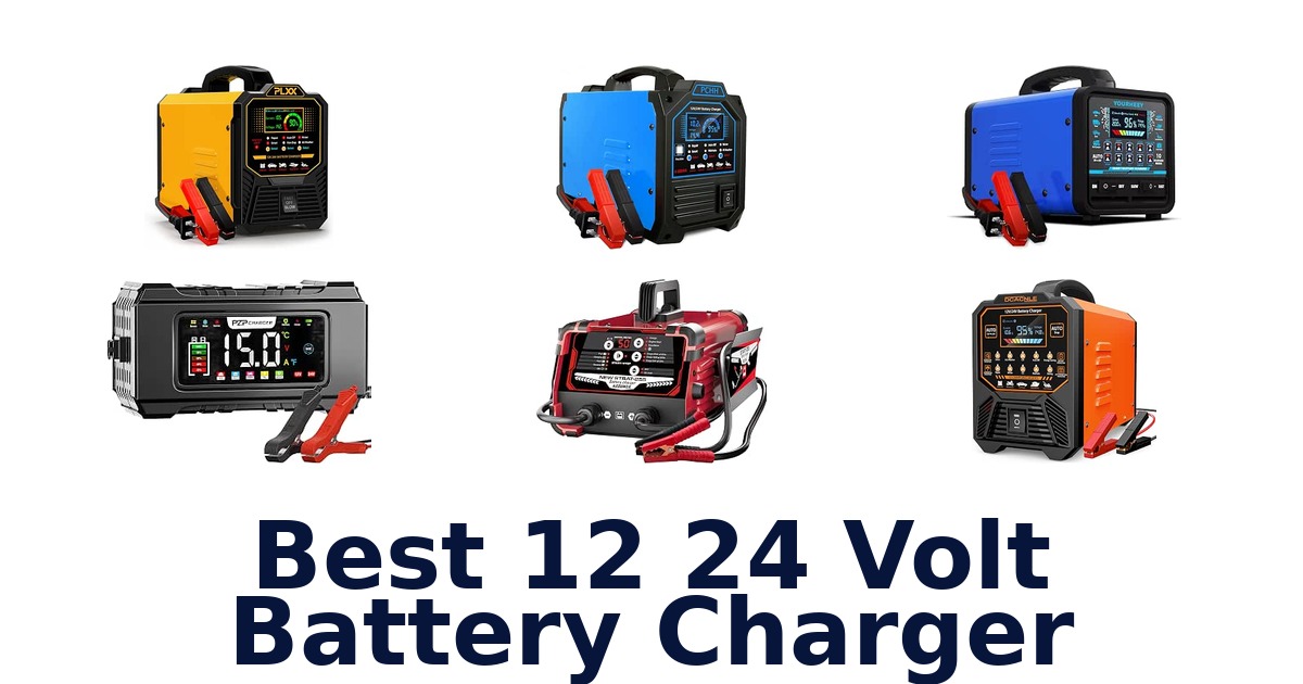 Best 12 24 Volt Battery Charger