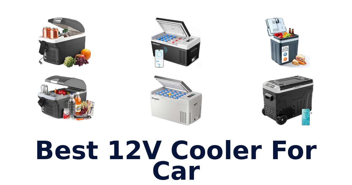 Best 12V Cooler For Car
