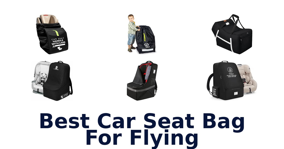 Best Car Seat Bag For Flying
