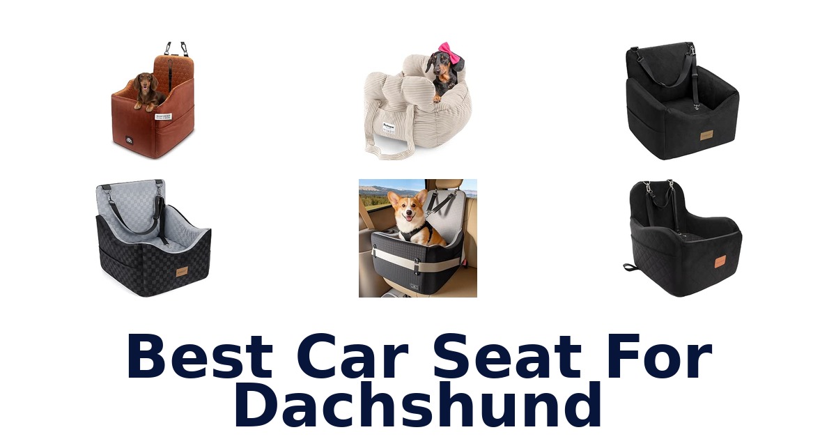 Best Car Seat For Dachshund