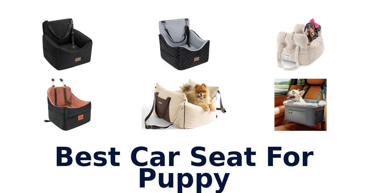 Best Car Seat For Puppy