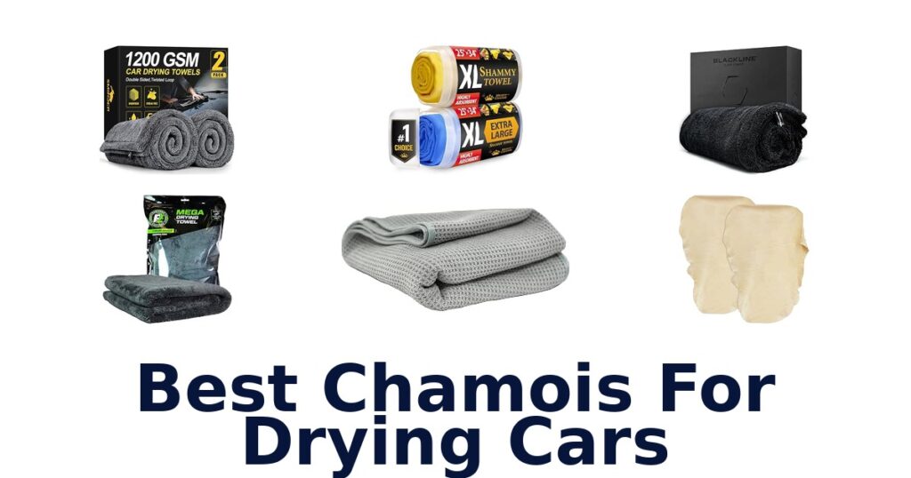Best Chamois For Drying Cars