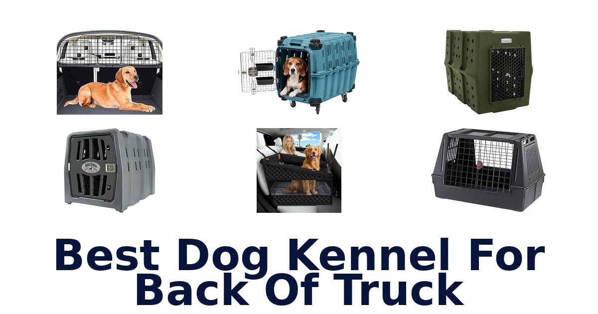 Best Dog Kennel For Back Of Truck