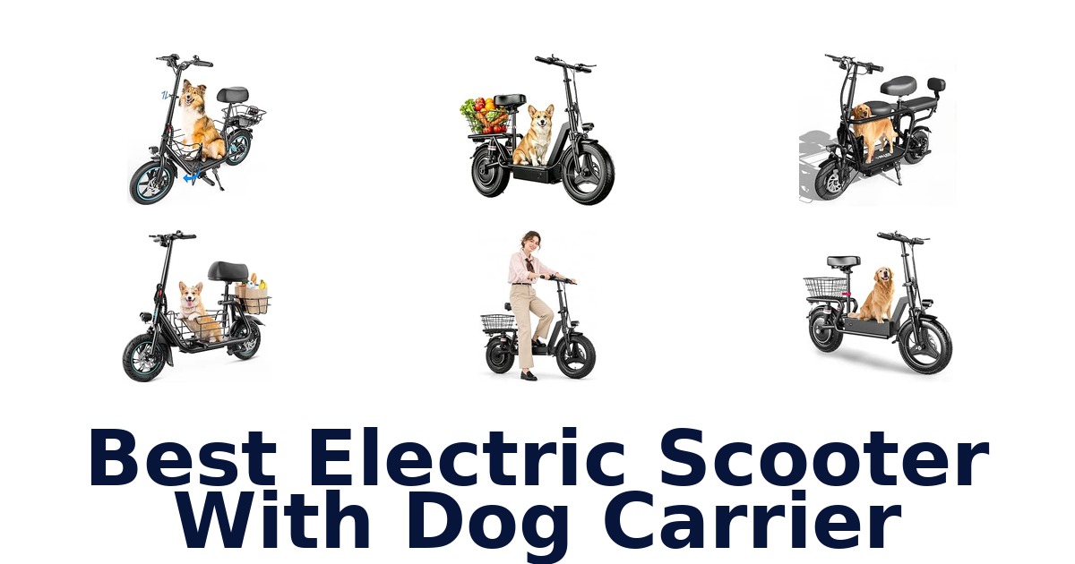 Best Electric Scooter With Dog Carrier