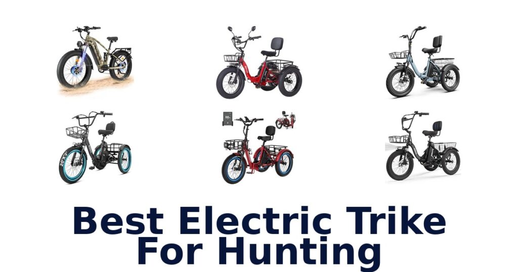 Best Electric Trike For Hunting