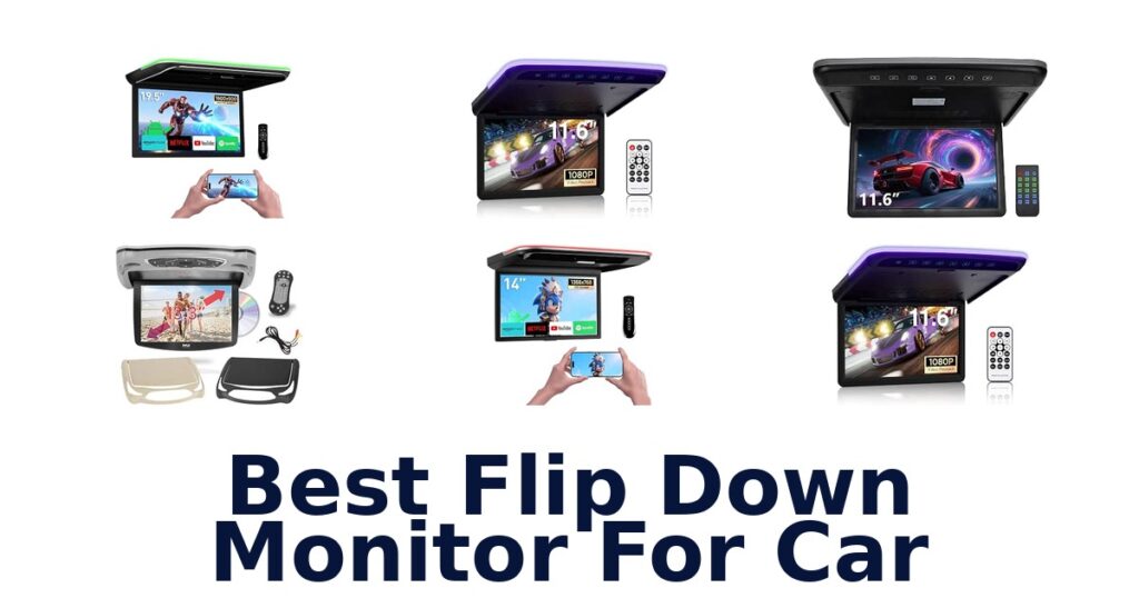 Best Flip Down Monitor For Car