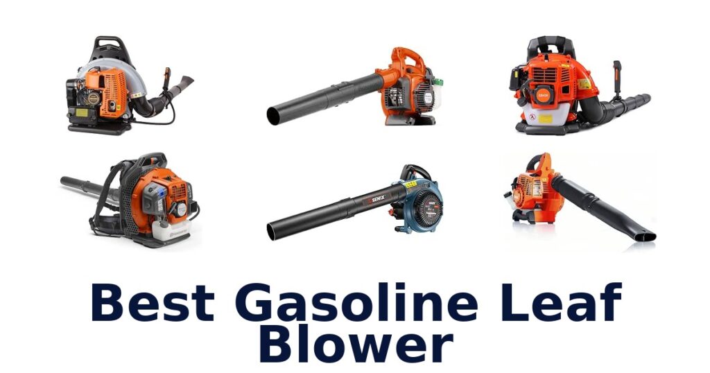 Best Gasoline Leaf Blower