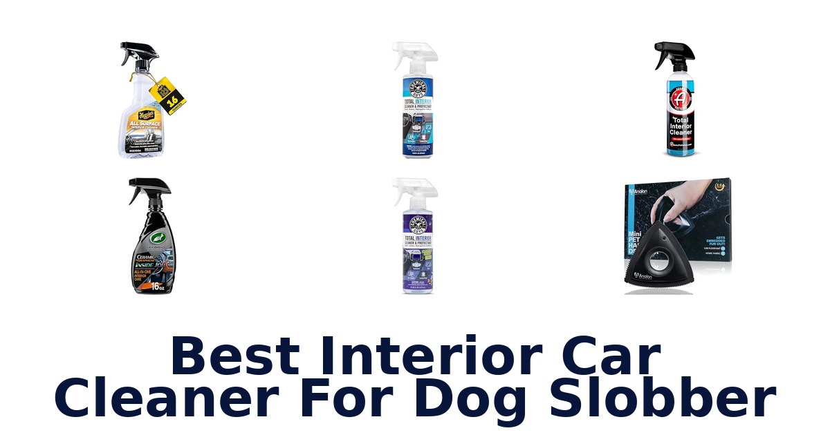 Best Interior Car Cleaner For Dog Slobber