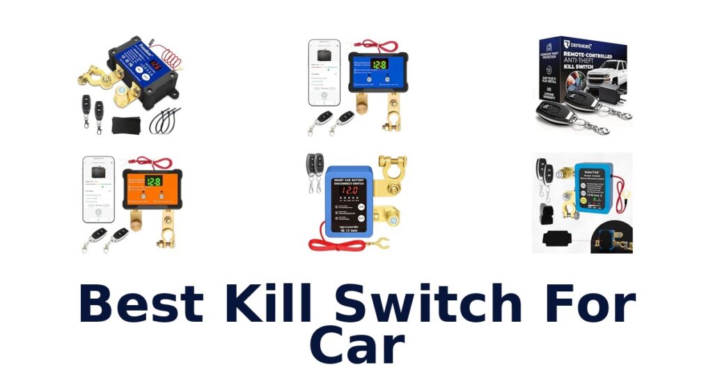 Best Kill Switch For Car