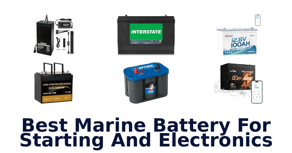 Best Marine Battery For Starting And Electronics