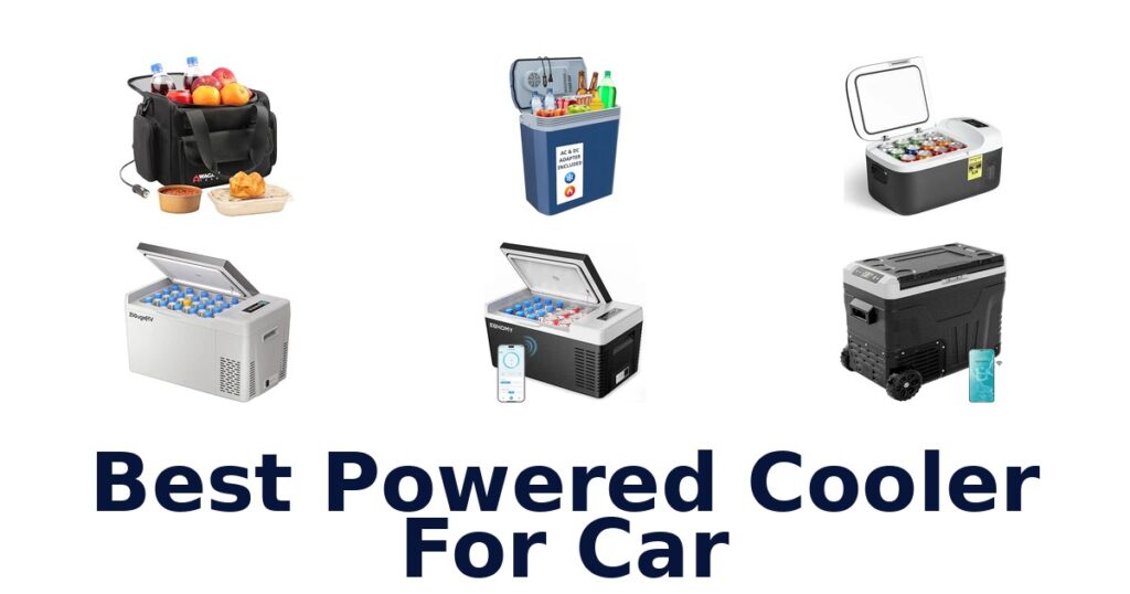 Best Powered Cooler For Car