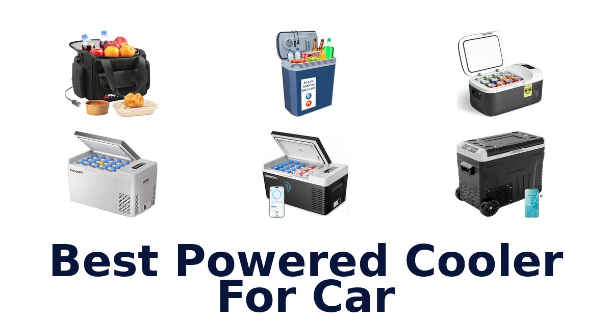 Best Powered Cooler For Car
