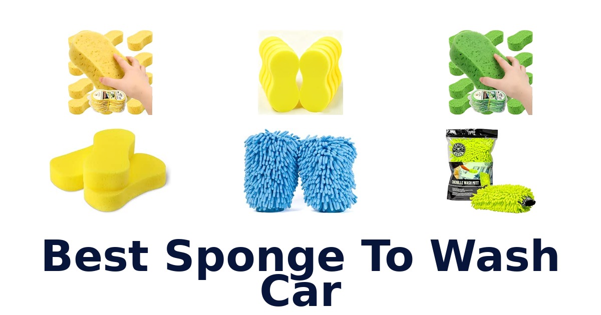 Best Sponge To Wash Car