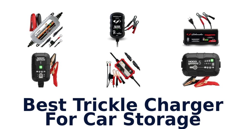 Best Trickle Charger For Car Storage