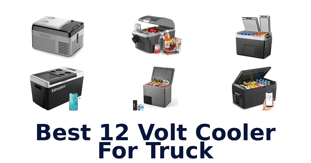 Best 12 Volt Cooler For Truck