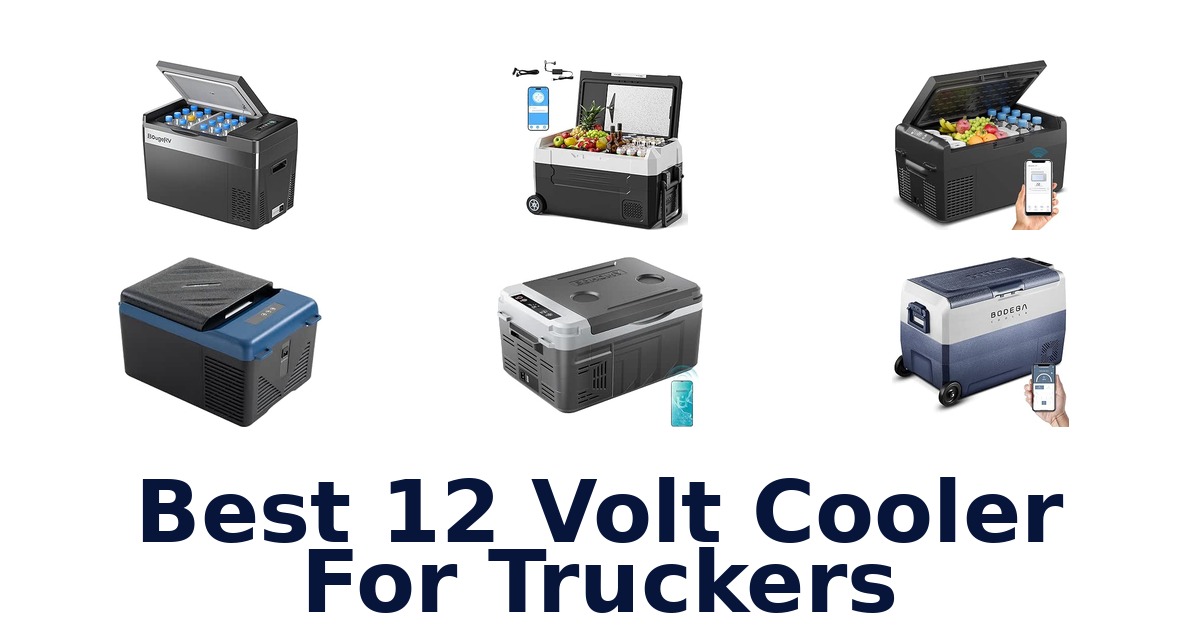 Best 12 Volt Cooler For Truckers