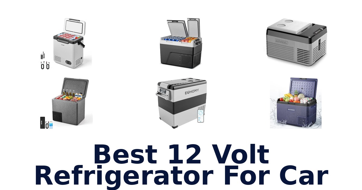 Best 12 Volt Refrigerator For Car