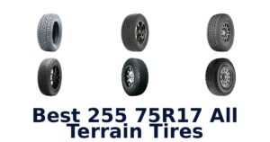 Best 255 75R17 All Terrain Tires
