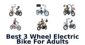 Best 3 Wheel Electric Bike For Adults