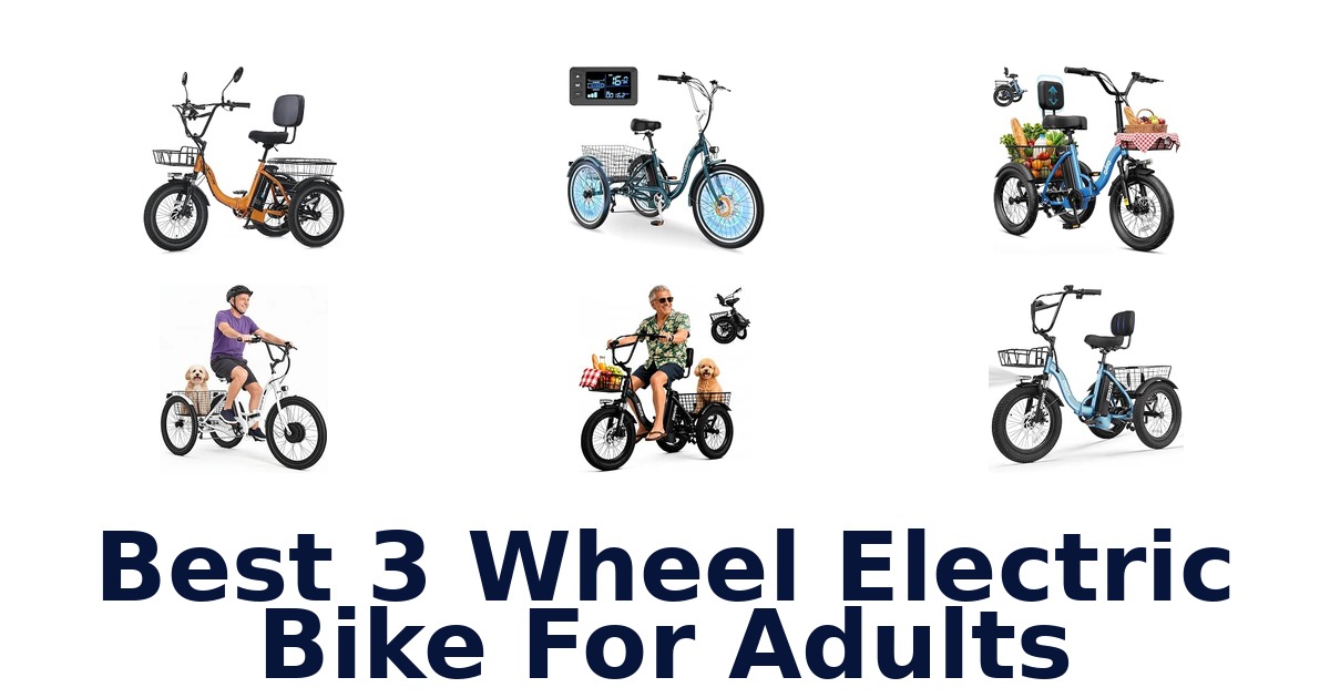 Best 3 Wheel Electric Bike For Adults