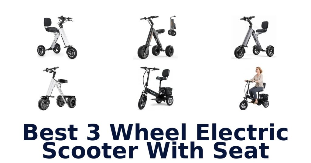 Best 3 Wheel Electric Scooter With Seat