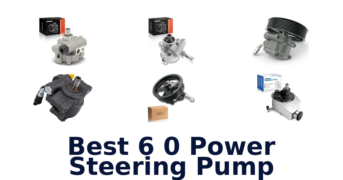 Best 6 0 Power Steering Pump
