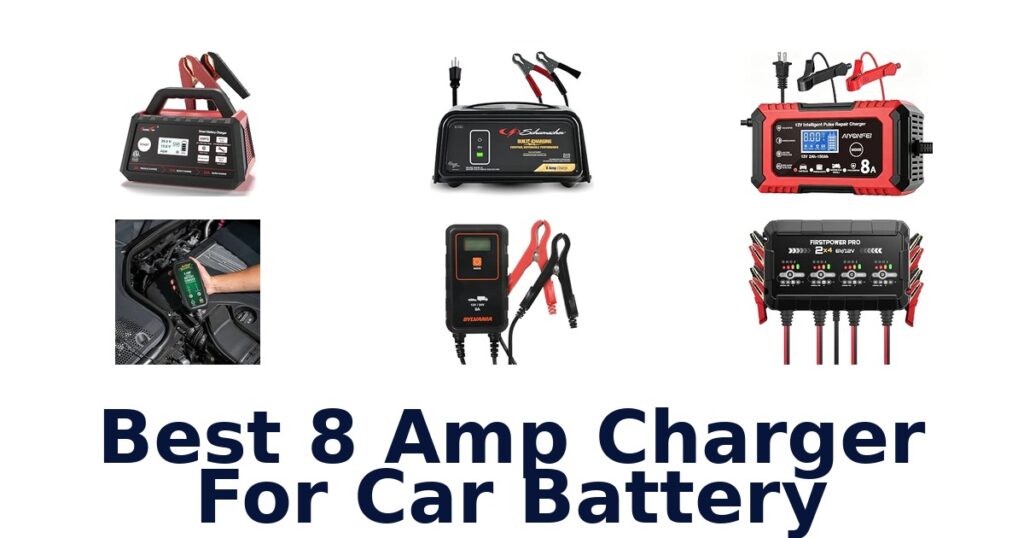 Best 8 Amp Charger For Car Battery