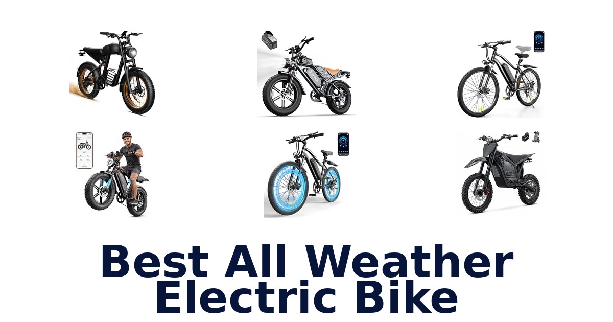 Best All Weather Electric Bike