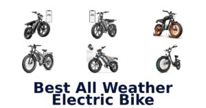 Best All Weather Electric Bike