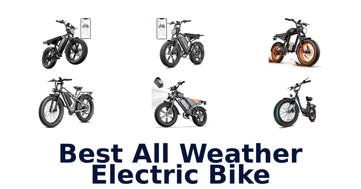 Best All Weather Electric Bike