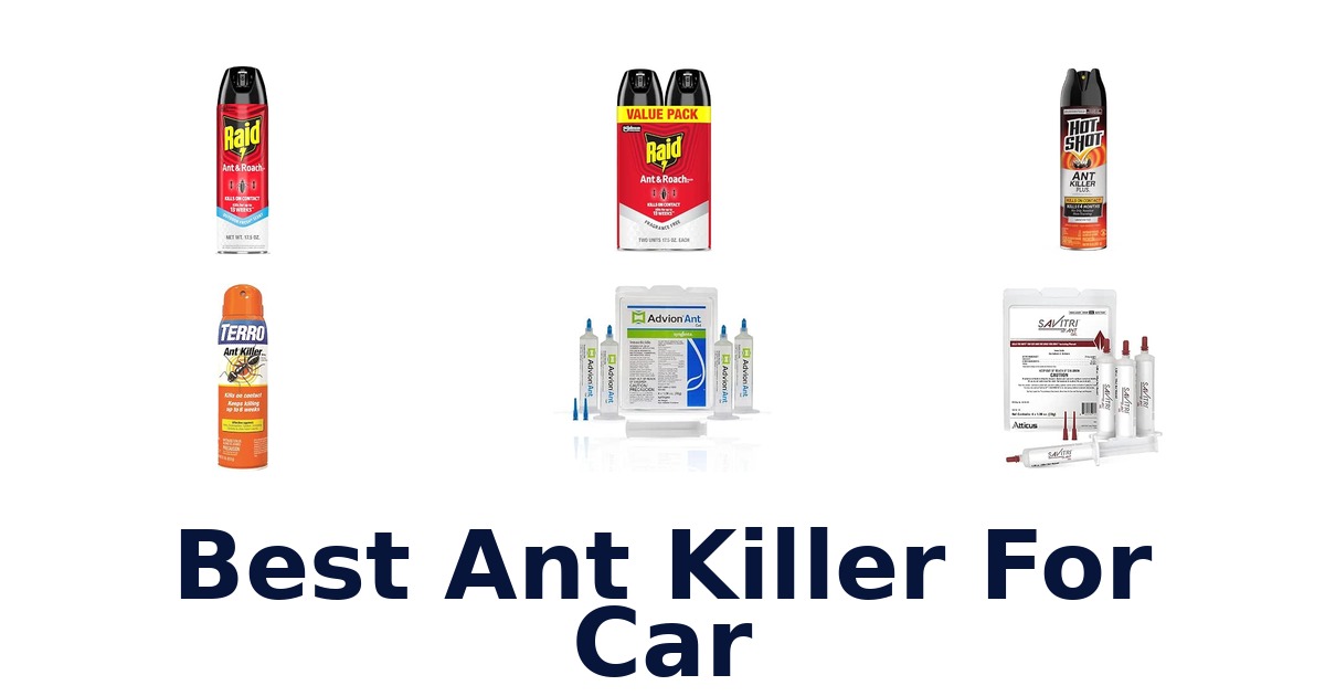 Best Ant Killer For Car