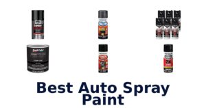 Best Auto Spray Paint