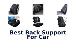 Best Back Support For Car