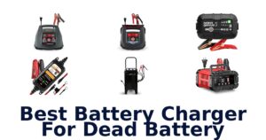 Best Battery Charger For Dead Battery