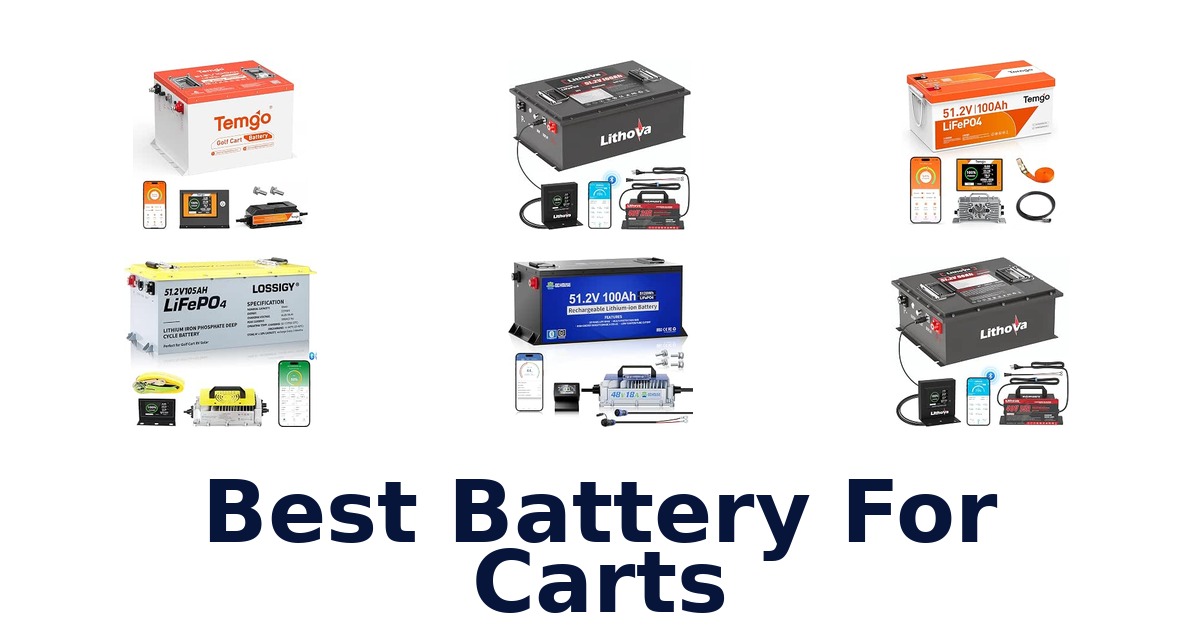 Best Battery For Carts