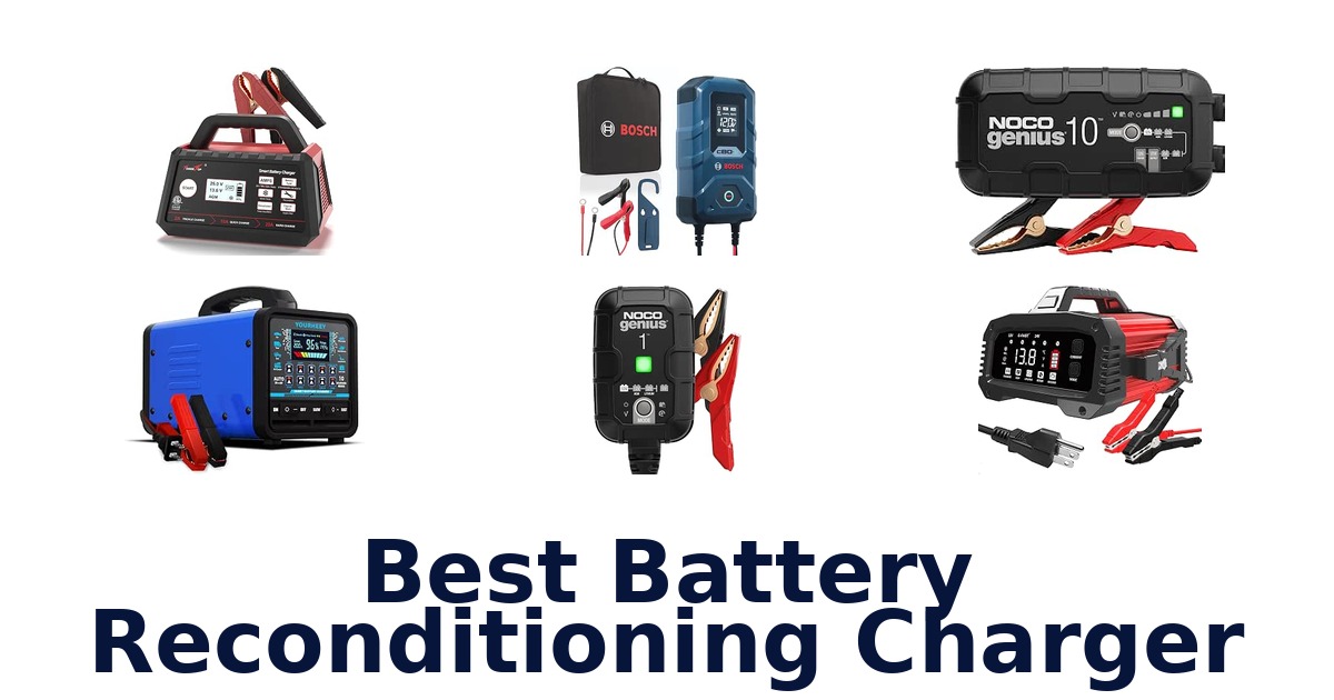 Best Battery Reconditioning Charger