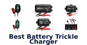 Best Battery Trickle Charger