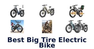 Best Big Tire Electric Bike