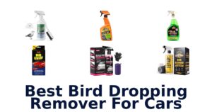 Best Bird Dropping Remover For Cars