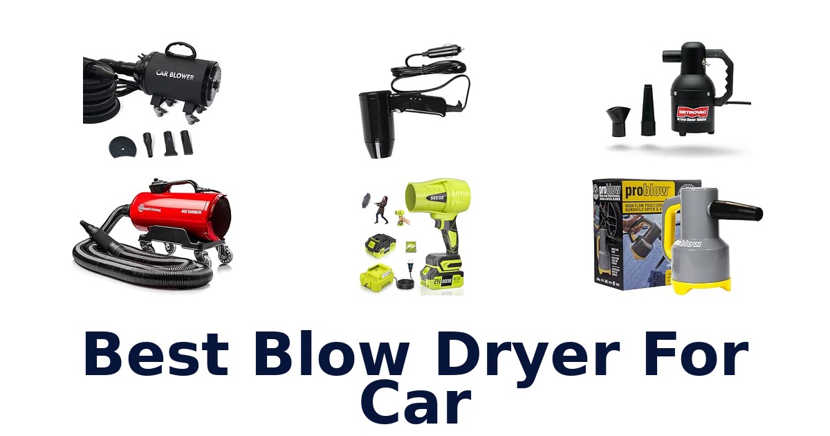 Best Blow Dryer For Car