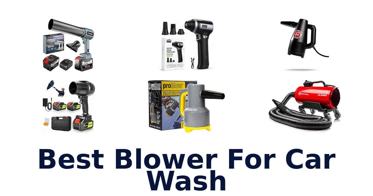 Best Blower For Car Wash