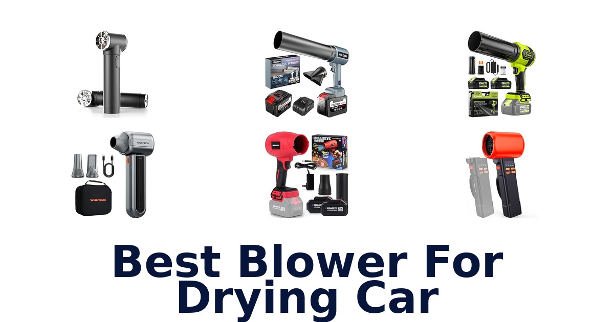 Best Blower For Drying Car