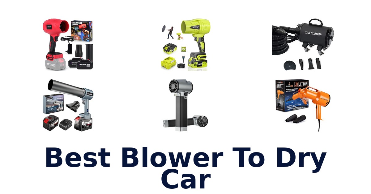 Best Blower To Dry Car