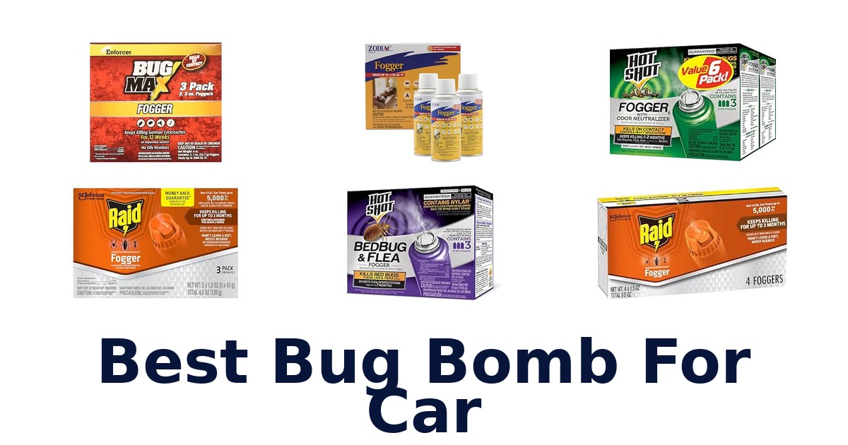 Best Bug Bomb For Car