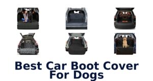 Best Car Boot Cover For Dogs